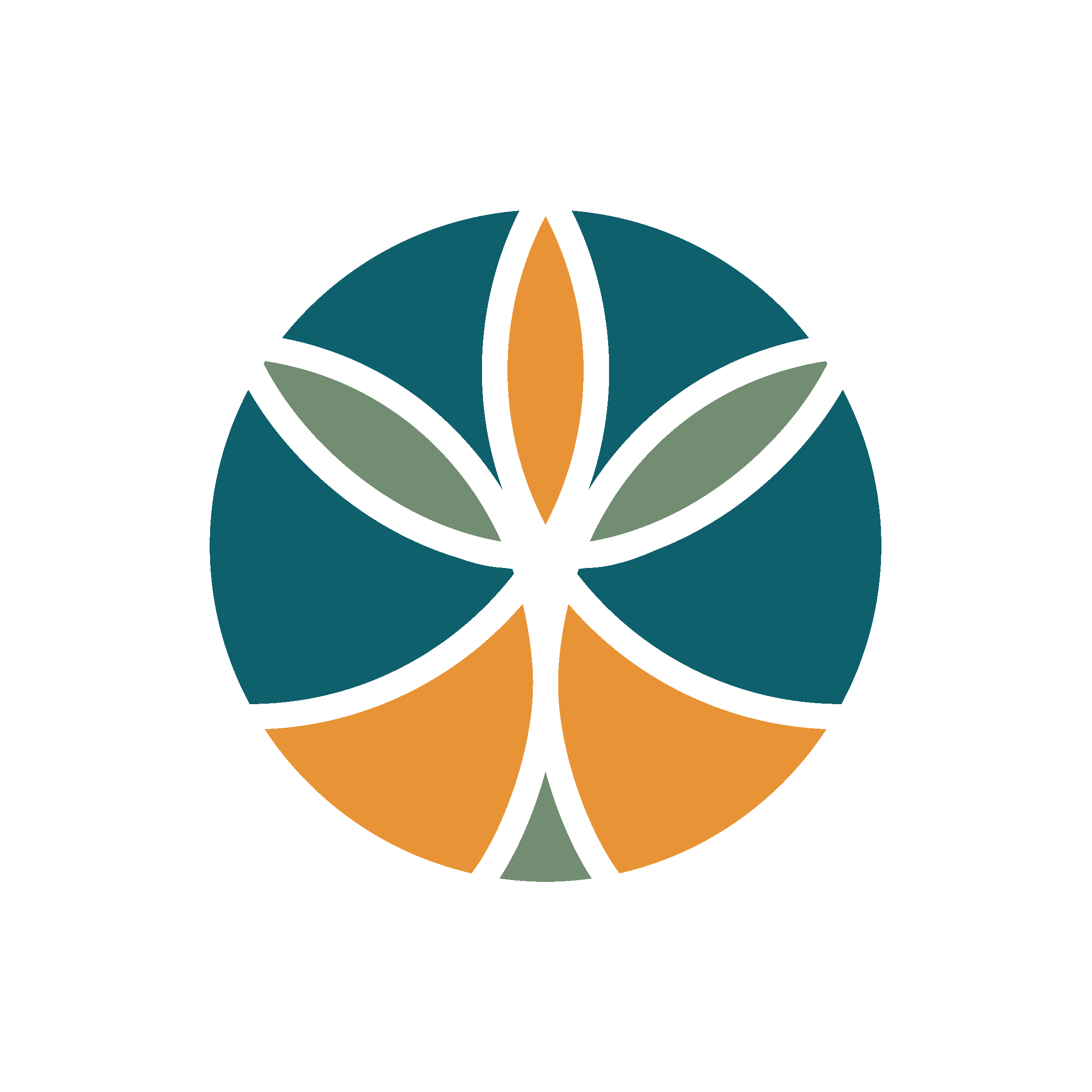 EcoEssence Ambiental